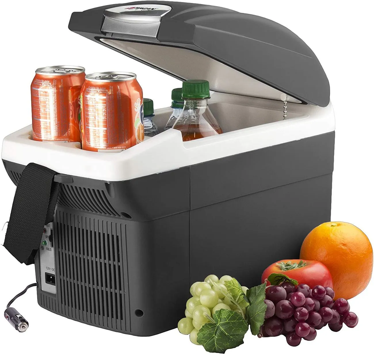 12V Thermo-electric 6L Cooler